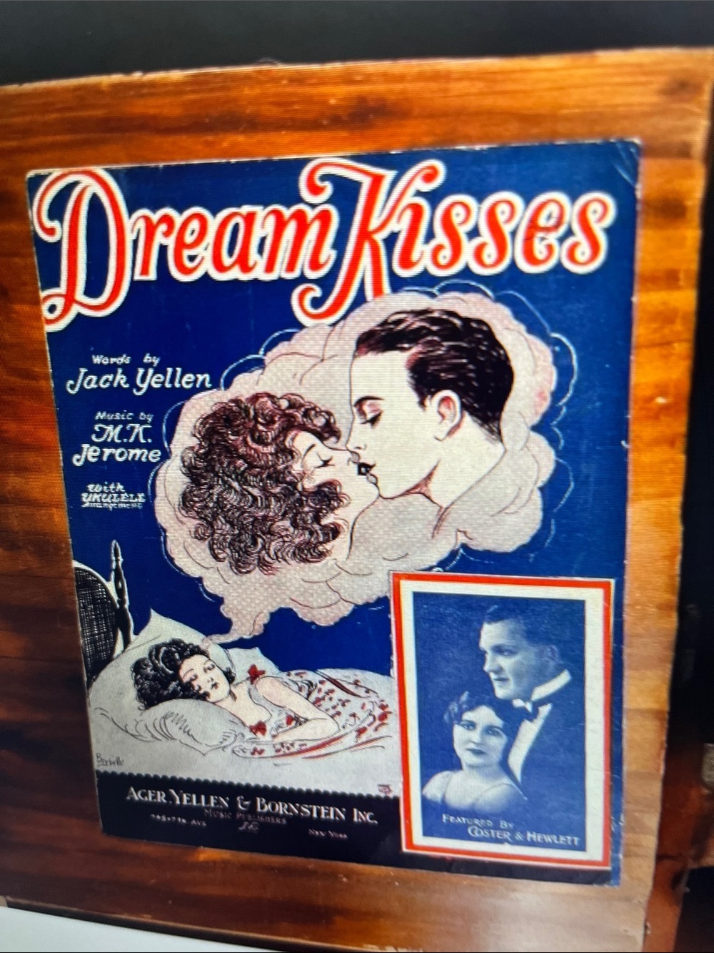 Dream Kisses Vinyl Record Cover Art - Blue
